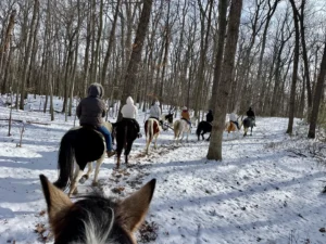 High Vibe Trail Ride winter ride through the woods
