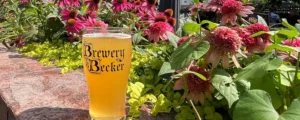 Beer with flowers in the background on the patio at Brewery Becker