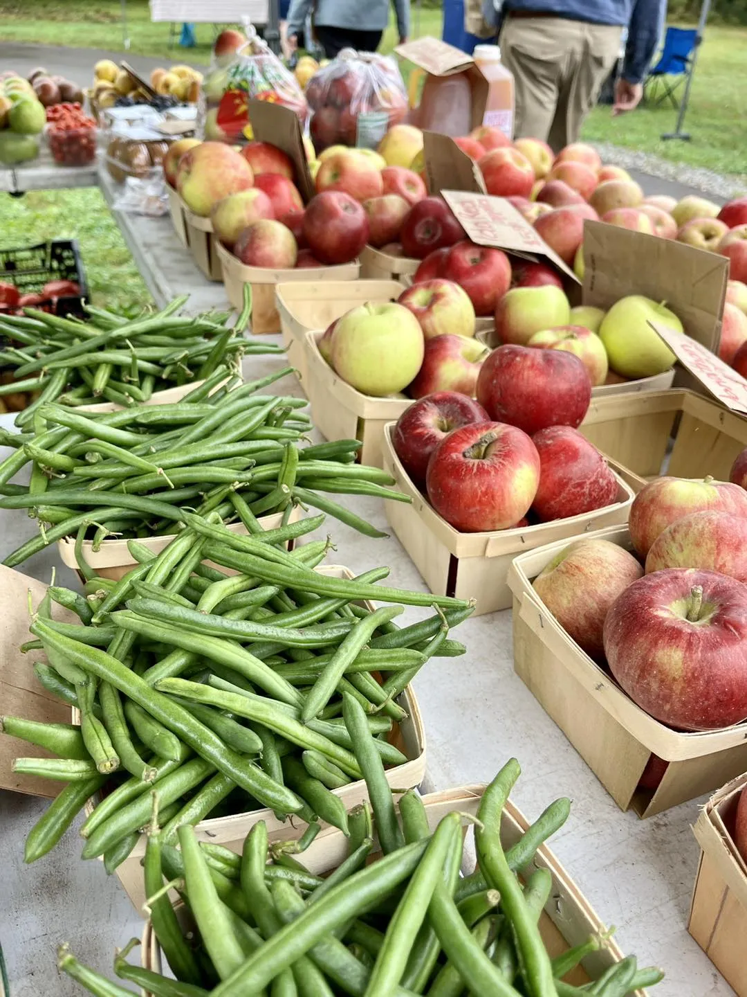 Whitmore Lake Farmers Market produce apples and beans.