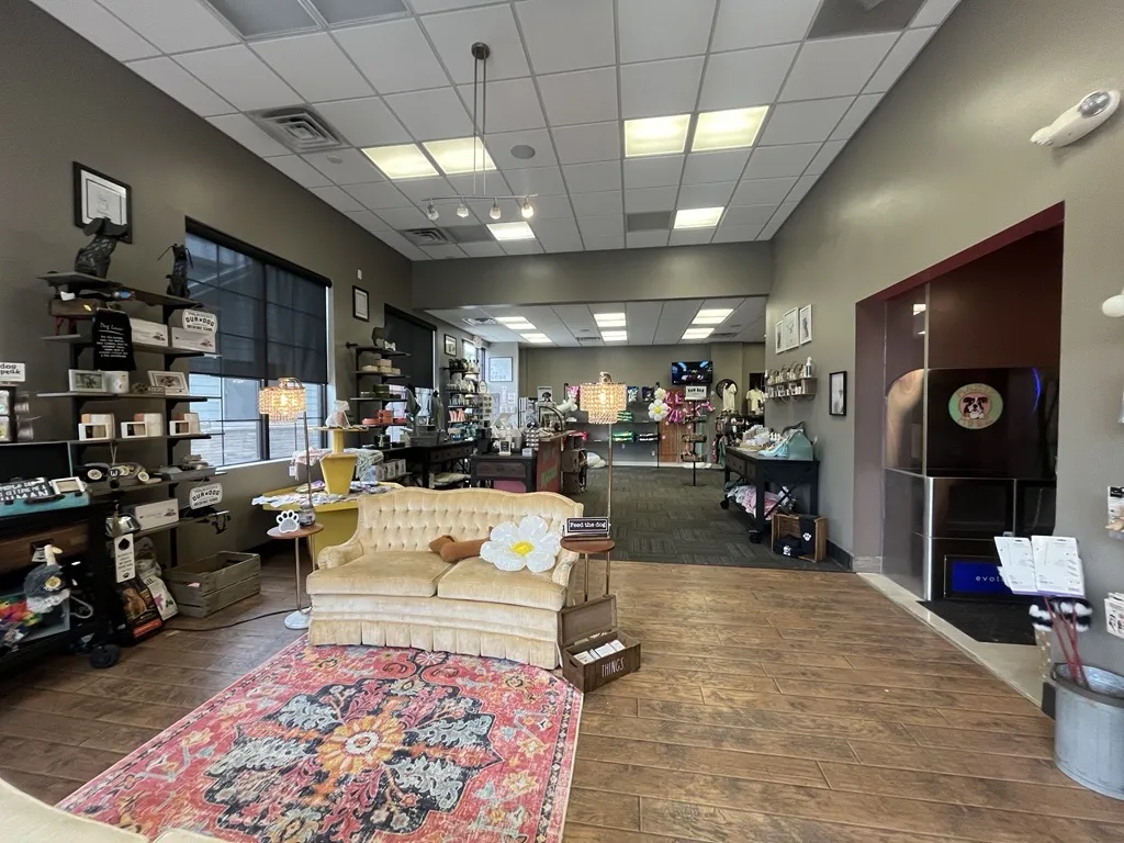 Mazie Mooz interior of store with dog items in downtown brighton.