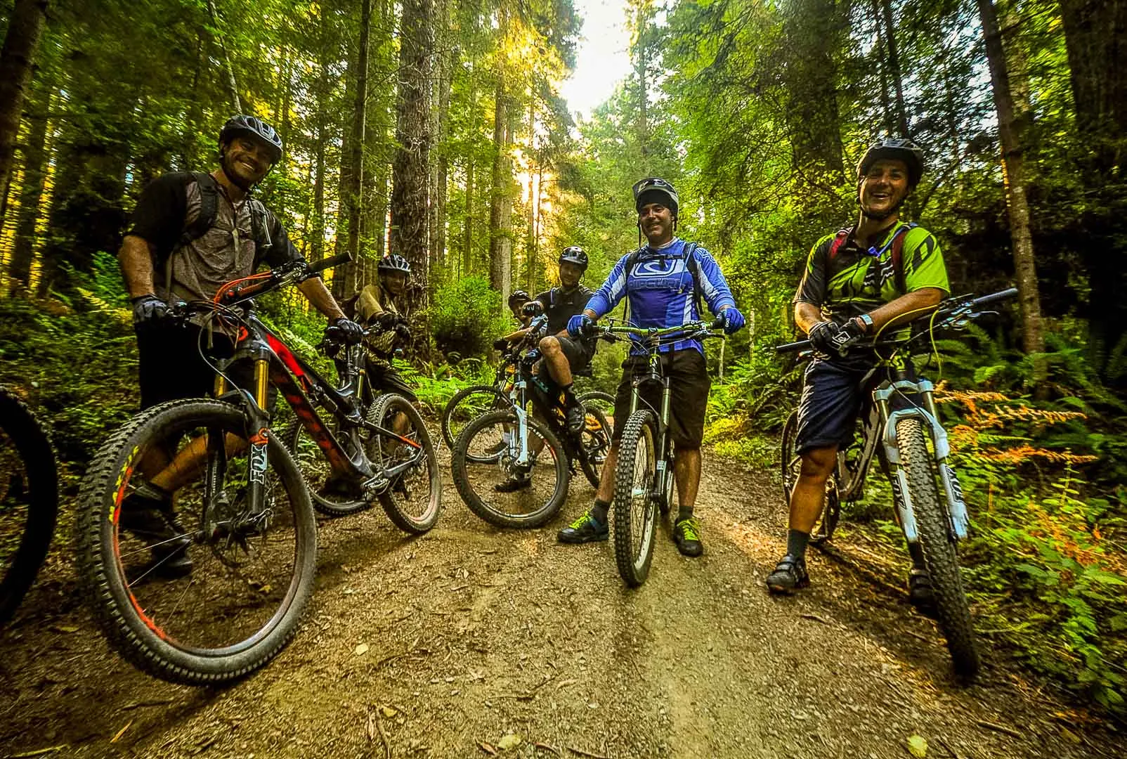 Hammerhead Bikes group ride in forest in Brighton Howell Area.