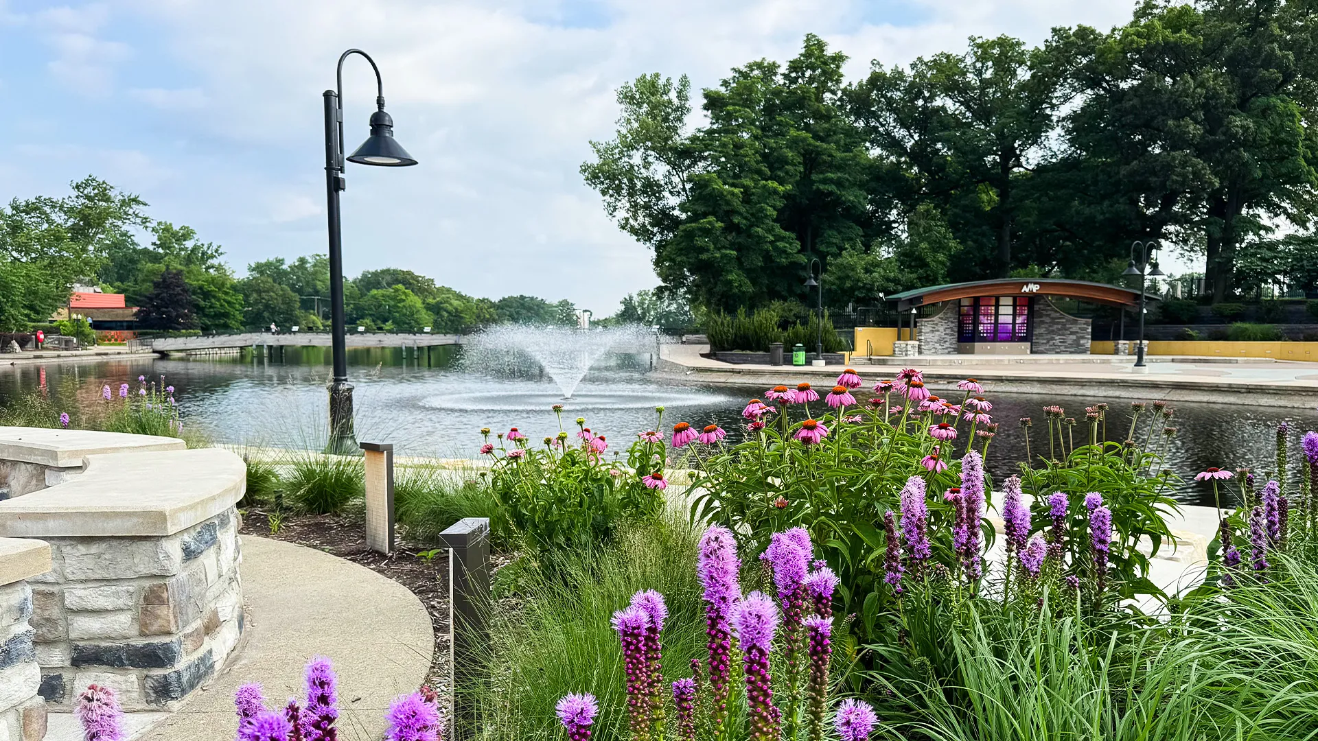 Downtown Brighton's Mill Pond with a view of flowers and the AMP!